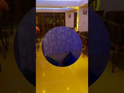 #Bluecherry family restro and bar 📍Pune, | beautiful ambience #familyrestaurant #viral #shorts #food