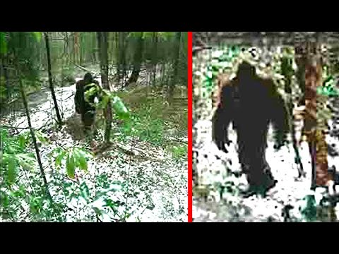 Expedition Bigfoot Crew Evacuated After Drone Captured TERRIFYING Bigfoot Footage!