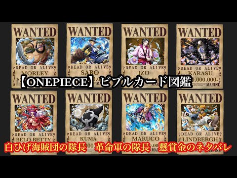 【ONEPIECE】ビブルカード図鑑　白ひげ海賊団の隊長　革命軍の隊長　懸賞金のネタバレ