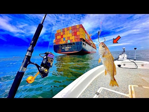 Fishing a LIVE! CROAKER under this FREIGHTER Ship in the GULF for my DINNER! [Catch, Clean, Cook]