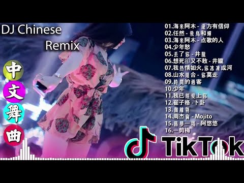 [ 公蝦米 ] - 2021年最劲爆的DJ歌曲 (中文舞曲) Chinese Dj Remix - 21首精選歌曲 超好聽- 2021全中文舞曲串烧-全中文DJ舞曲 高清 新2021夜店混音