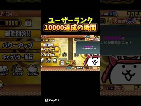 【にゃんこ大戦争】ユーザーランク10000達成の瞬間…！ #にゃんこ大戦争 #にゃんこ大戦争コラボ #にゃんこ大戦