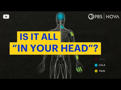 Is Pain Made in the Brain? NOVA | PBS