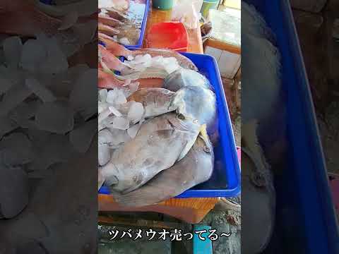 バリ島の青空魚市で“ツバメウオ”見つけたから焼いて食べてみた #ツバメウオ