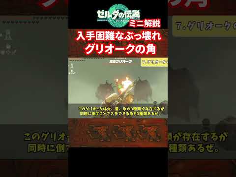 【ティアキン】入手困難なぶっ壊れスクラビルド素材！グリオークの角【ゼルダの伝説　ティアーズオブザキングダム】