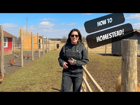 How To Homestead!