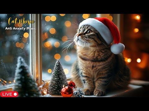 Christmas Piano Music for Cats: Calm Anxiety, Sleep Better & Enjoy the Holiday Peacefully 😺🎄