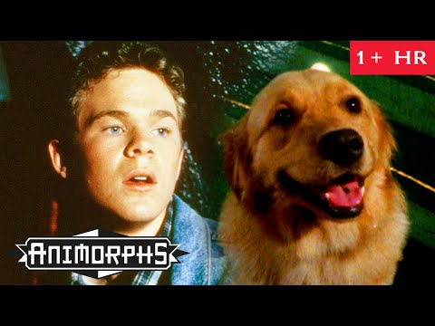 Teens Transform into Animals to Fight Aliens | Full Episodes 4-6 | Animorphs | Scholastic Classic