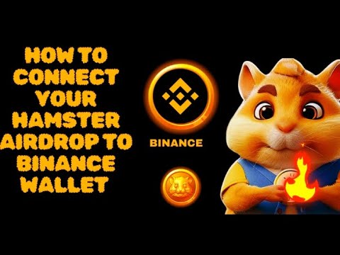 How To Connect Your Binance Wallet On Hamster Airdrop Successfully