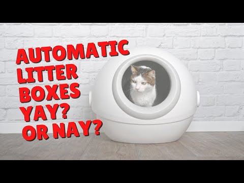 Automatic Litter Boxes | Two Crazy Cat Ladies #shorts