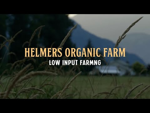 Organic Innovation Series Episode 1: Low Input Farming -  Helmer's Organic Farm