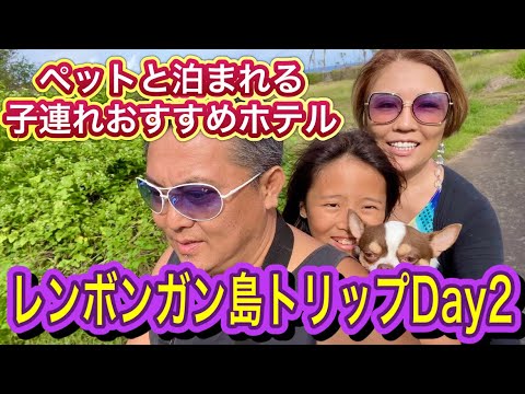 【レンボンガン島】家族旅行2日目 /デビルス ティアーズ / ドリームビーチ / おすすめカフェ＆レストラン / Lembongan trip / Pet friendly hotel