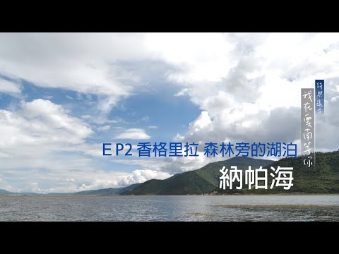 EP 2 香格里拉－森林旁的湖泊－納帕海 【 詩與遠方 我在雲南等你 】