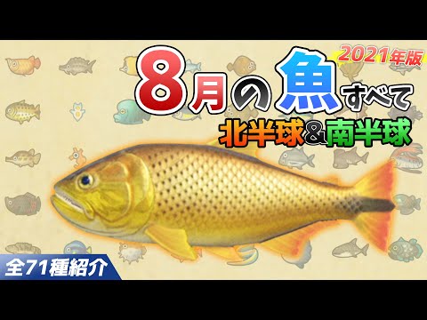 【あつ森】8月に釣れる魚を全て紹介！魚影や出現場所、時間、条件、買取値段など徹底解説！サメやピラルク、ドラド、シイラなどレア魚が大量【あつまれどうぶつの森　8月の魚図鑑コンプリート】