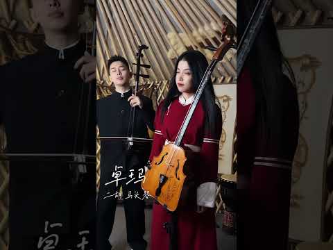 經典歌曲《卓瑪》送給大家！ #國樂 #純音樂 #五音療愈 #輕音樂 #二胡#馬頭琴