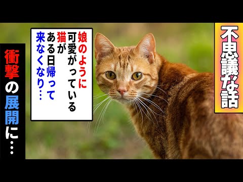 【猫の不思議な話】娘のように可愛がっている猫がある日、帰ってこなくなった。→一週間後、金色の鈴を口にくわえて帰ってくると…【朗読】【猫】【感動】