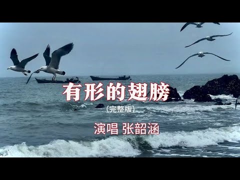 热榜歌曲张韶涵《有形的翅膀》完整版，有形的翅膀带来无形的力量