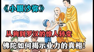 因果轮回揭秘：《小眼沙弥》背后的故事，从狗到罗汉的惊人转变，佛陀如何揭示业力的真相！