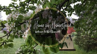 The Home in Homestead - Welcome to The Channel!