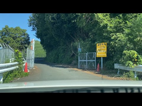 大城林道/往路/晴れ/昼