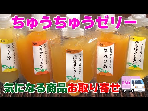 【気になる商品お取り寄せ！】ちゅうちゅうゼリー