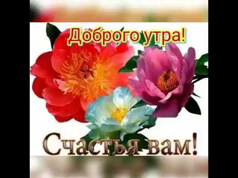 Доброе утро☀️☀️☀️хорошего настроения на весь день💐💐💐