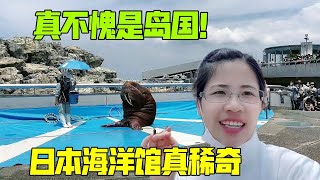 日本的海洋館啥樣？第一次參觀我大開眼界：真稀罕！這魚你見過嗎