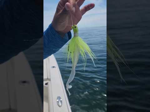 Grouper LOVE this Artificial Lure!