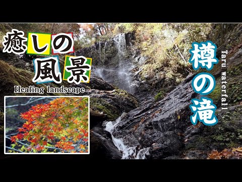 樽の滝【 Taru waterfall 】