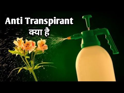 Anti Transpirant क्या है ।। What is Anti transpirant ।। #ecohillagri