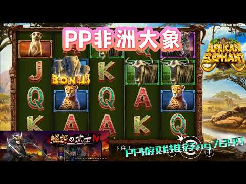 PP电子『非洲大象』到非洲去看动物很疗愈#PP#PPslot#slot#PP电子#wild#jackpot#电玩爆分游戏#电玩游戏解说#电子游戏介绍#电子游戏推荐