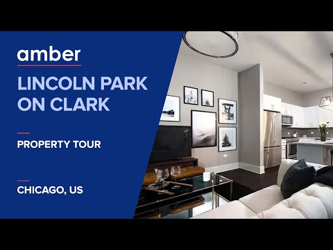 Property Tour | Lincoln Park on Clark, Chicago | Student Accommodation in USA | amber