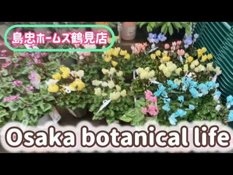 🍃Osaka botanical life🍃島忠ホームズ鶴見店に行ってきました🌟