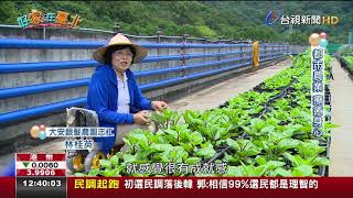 台北綠色田園城市打造銀髮族開心農園