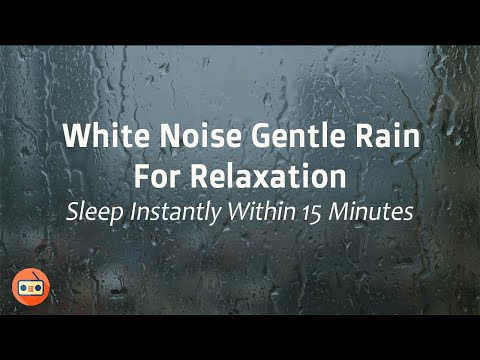 Gentle Rain Nature White Noise for Sleeping , Relaxing, Focus or Study | 白噪音雷暴和大雨聲讓你遠離失眠、學習和放鬆