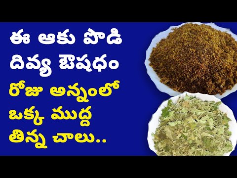 ఎన్నో వ్యాధుల్ని నయం చేసే అమృతం ఈ  పొడి  Moringa Powder in Telugu / Munagaku Benefits and tips