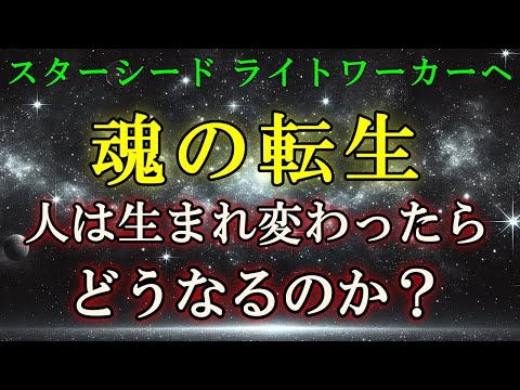 【転生する人に届く動画です】生まれ変わったら、何が待っているのか？