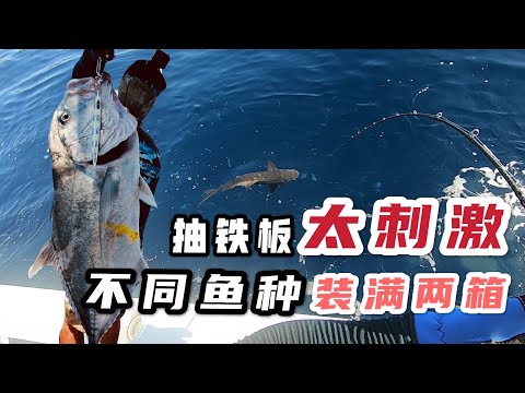 从深海200米钓到100米，各种凶猛海鱼爆拉，下一杆总有惊喜！#海钓 #船钓 #抽铁板 #deepsea fishing #speed jigging #slow jigging