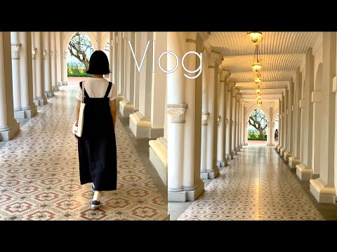 Vlog 🌸 Homemade Soybean Milk | 'Sakura' in Singapore | Fried Oysters Cravings | CHIJMES | 新加坡的日常生活