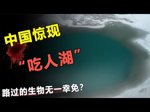 中国诡异的天坑，路过的生物一律被“吞噬”，专家至今无法解释！