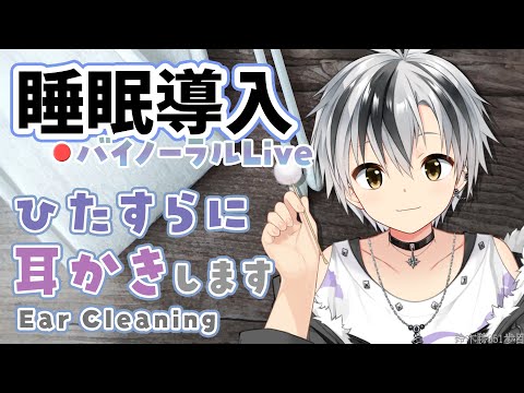 [ASMR] Thorough ear cleaning for sound sleep - Jul. 30. 2024 [Nijisanji/Masaru Suzuki]