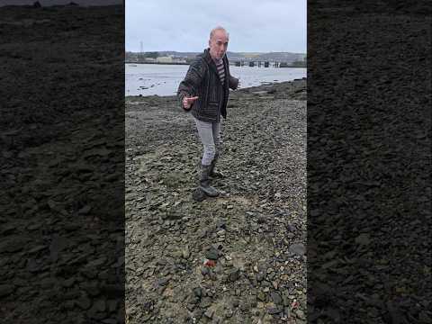 Exploring at low tide #adventure #explore #estuary #coast #swampland #industrial #beach #outdoors