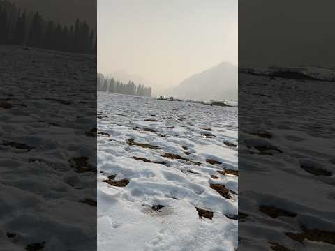 Sonmarg Kashmir | Snowfall kashmir | Sonamarg | Snowhite | Heavy Snowfall in Kashmir