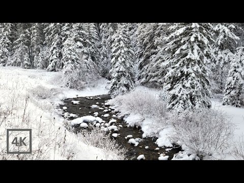 Winter Ambience: Peaceful White Noise and Stunning Scenery of a Magical Winter Wonderland in 4K UHD