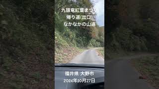 「第45回九頭竜紅葉まつり、帰り道(出口)」なかなかの山道。福井県 大野市 角野。2024年10月27日。