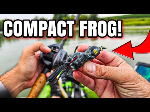 Bass SMASHED This Little Frog! (SUMMER Bass Fishing)