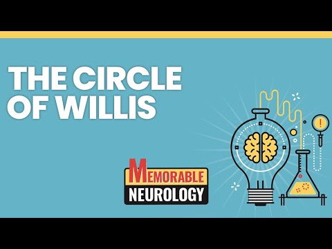 Circle of Willis and Cerebral Blood Supply Mnemonics (Memorable Neurology Lecture 11)