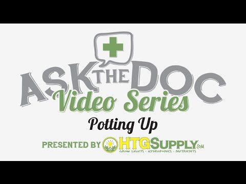 Potting Up Plants: Ask The Doc