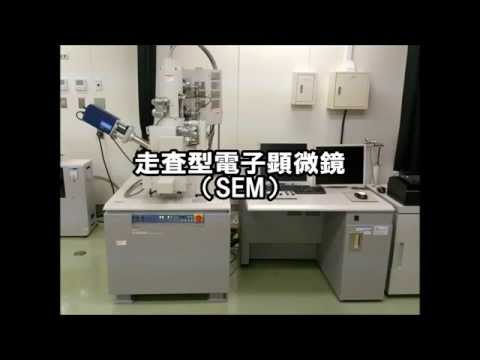 走査型電子顕微鏡（SEM-EDX）　IS14【工業総合研究所】