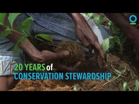 Celebrating 20 years of the Conservation Stewards Program